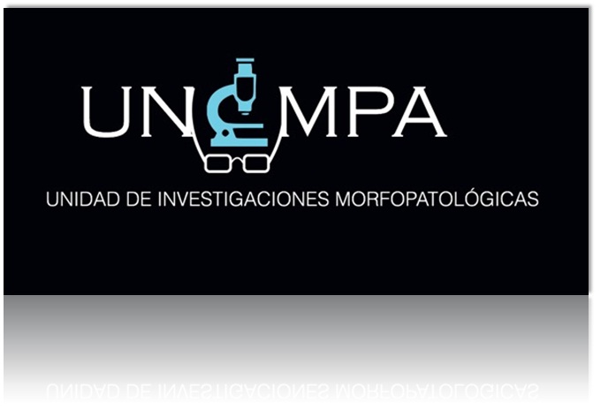 logo de unimpa